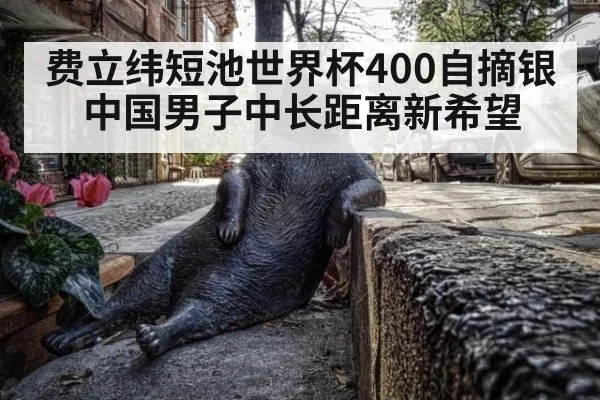 费立纬短池世界杯400自摘银 中国男子中长距离新希望